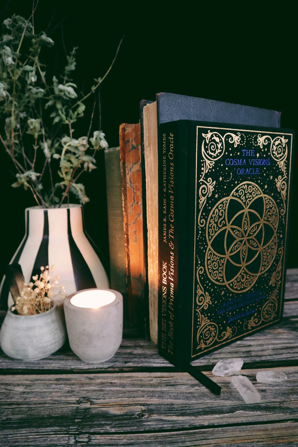 The Big Visions Book - Prisma & Cosma Visions Complete Guidebook | James R. Eads