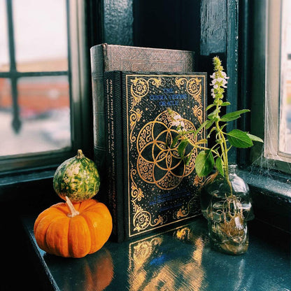 Prisma Visions Tarot Bundle - Deck & Big Visions Book by James R. Eads